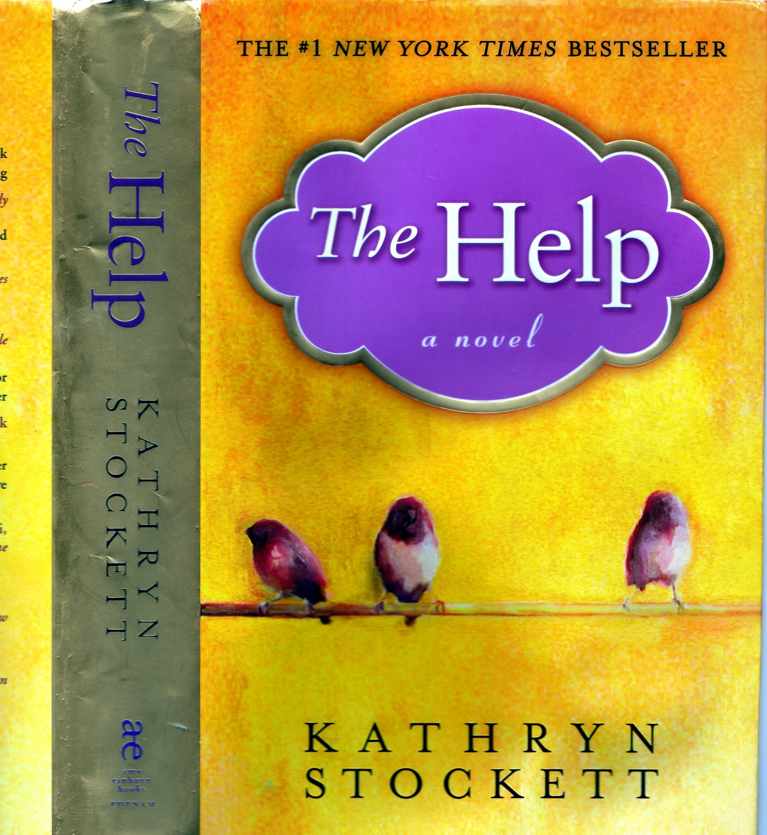 Essay questions for the help by kathryn stockett