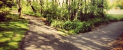 Fork in the road turn images on if you can't see this
