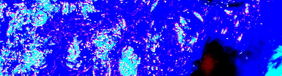 blue mood2