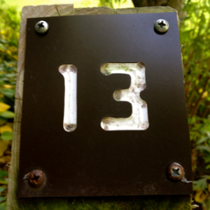 13