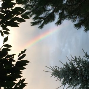 rainbow moment