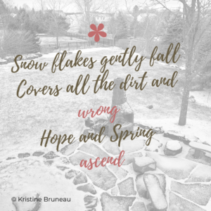 Snow flakes haiku