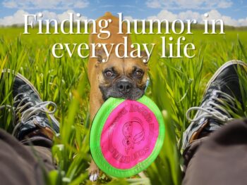 A fawn boxer dog with floppy ears and a cropped tail stands in tall grass, holding a bright pink frisbee, viewed between a pair of sneakers — capturing the playful spirit of finding humor in everyday life.