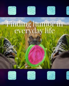 Fawn boxer holding pink and green frisbee between sneakers in grassy field