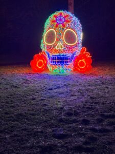 “Illuminated skull and floral light installation at GLOW Festival Eindhoven at night.”
