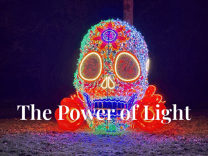 Illuminated skull and floral light installation at GLOW Festival Eindhoven at night.
